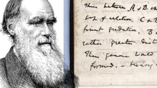 Les carnets de Darwin. // Source : Bibliothèque de Cambridge / Portrait de Darwin / Montage Numerama.