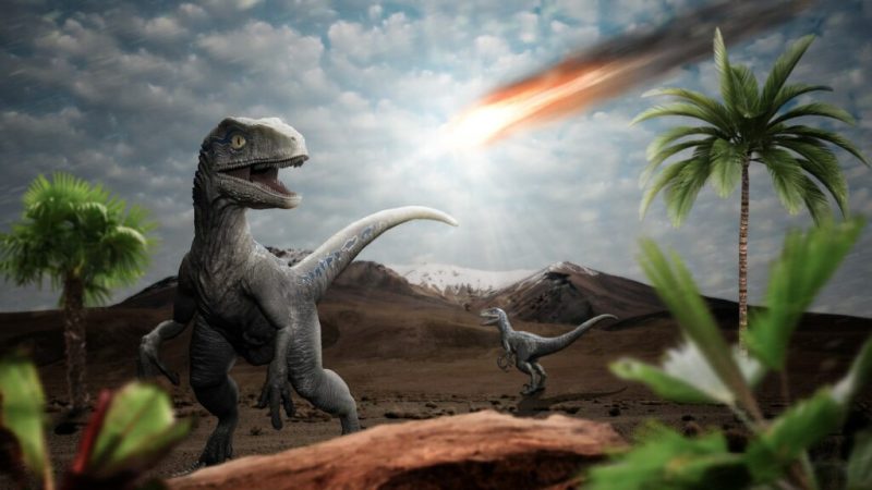 La fin du monde pour les dinosaures : le récit minute par minute, depuis la chute fatale de l’astéroïde