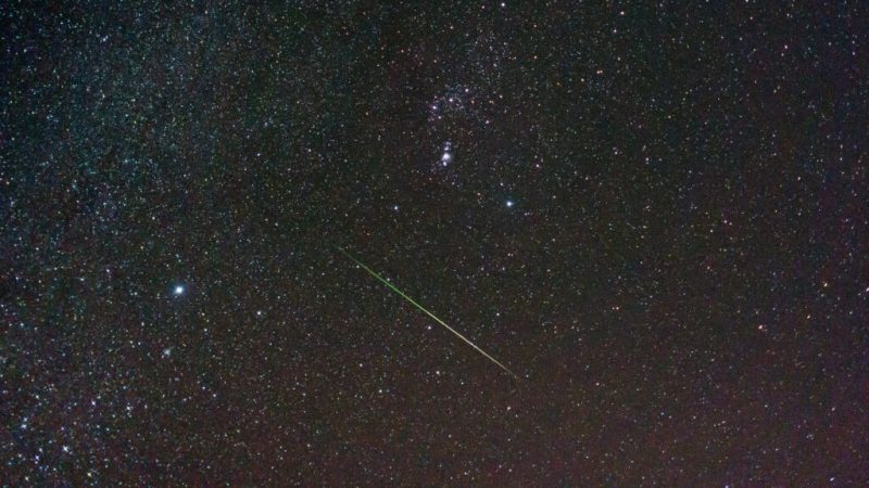 Comment voir l’essaim d’étoiles filantes des Léonides dans la nuit du 17 au 18 novembre ?
