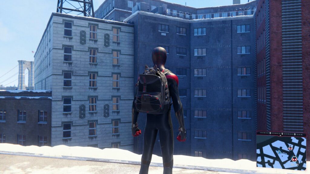 Le chat Vector dans Marvel's Spider-Man: Miles Morales // Source : Capture d'écran PS5