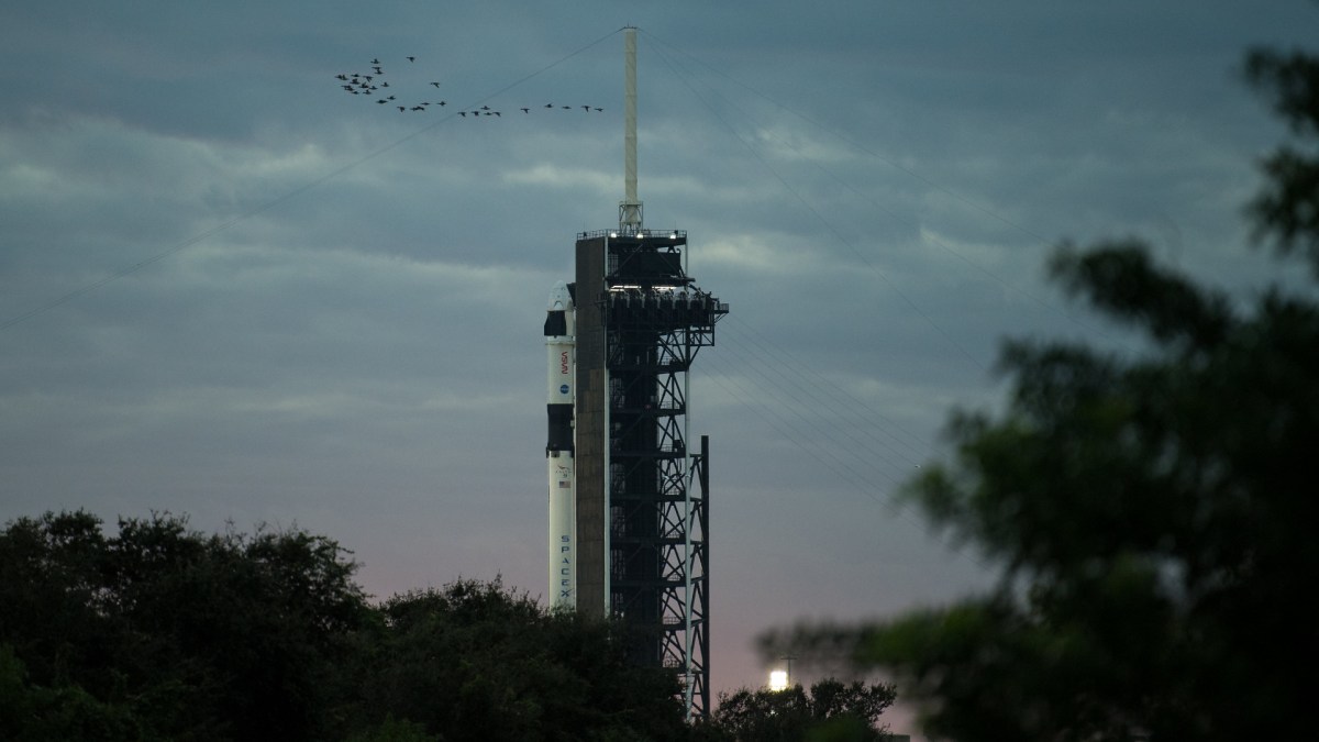 Crew-1. // Source : Flickr/CC/Nasa HQ Photo