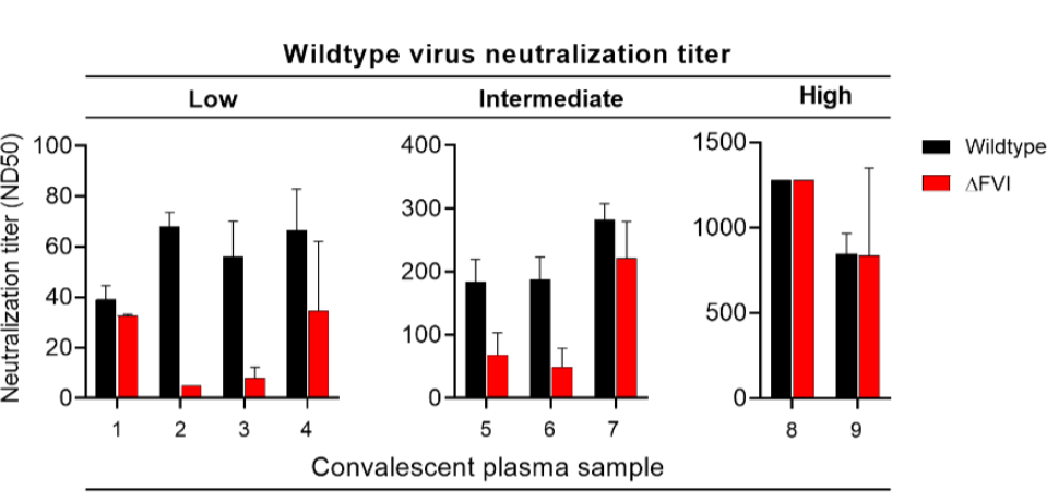Tableau de neutralisation du coronavirus en fonction de la mutation chez les visons ou non. // Source : SSI