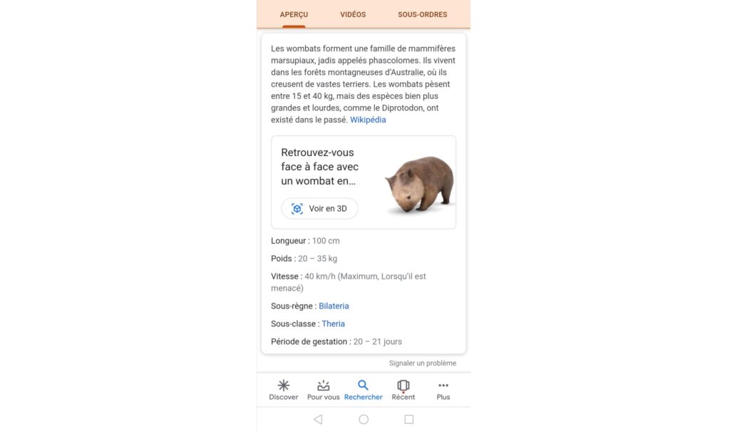 Une recherche google pour « wombat » et c'est parti // Source : Capture d'écran Google