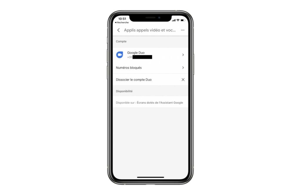 Assistant Google Duo