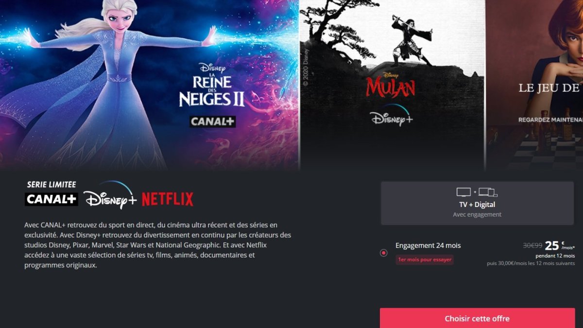 canal-serie-limitee-disney-netflix 1