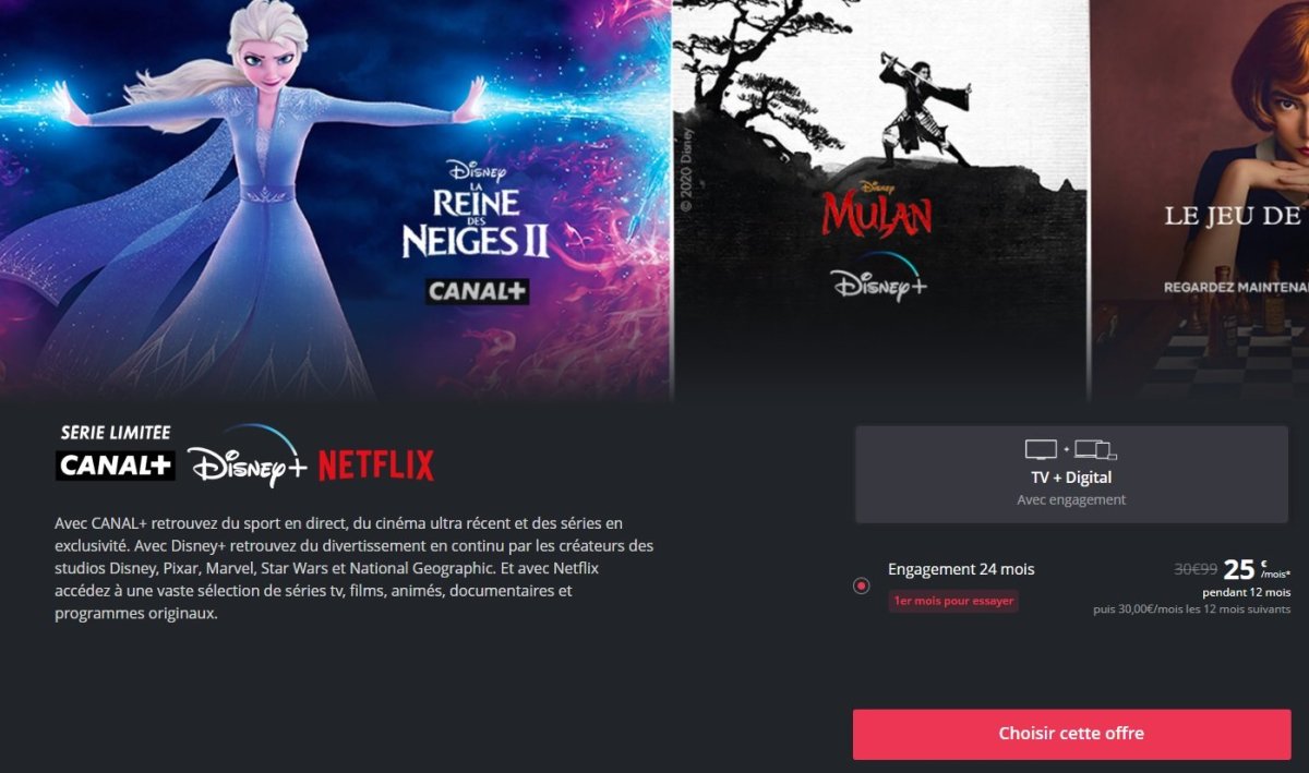 canal-serie-limitee-disney-netflix 1