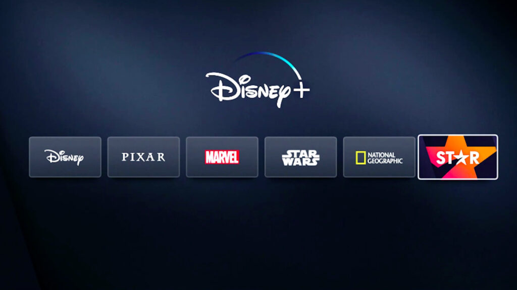 The STAR section in Disney+ // Source: Disney