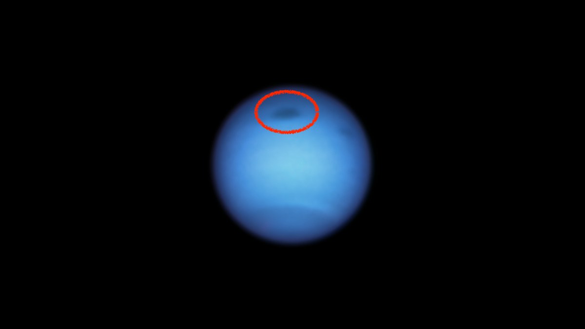 Neptune vue par Hubble. // Source : NASA, ESA, STScI, M.H. Wong (University of California, Berkeley), and L.A. Sromovsky and P.M. Fry (University of Wisconsin-Madison), annotation Numerama