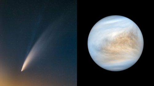 À gauche, C/2020 F3 (NEOWISE). À droite, Vénus. // Source : Flickr/CC/MotloAstro & Flickr/CC/Kevin Gill, images recadrée et montage Numerama
