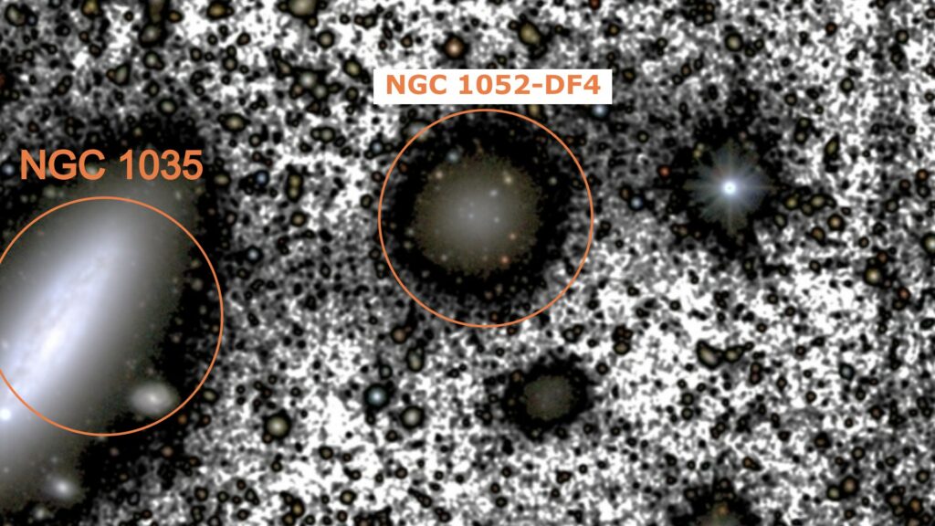 La galaxie cannibalisée (DF4, à droite), et la galaxie massive qui la siphonne (1035, à gauche). On voit que la galaxie cannibalisée (DF4) est plus faible en luminosité. // Source : Montes & al., The Astrophysical Journal ; précisions Numerama