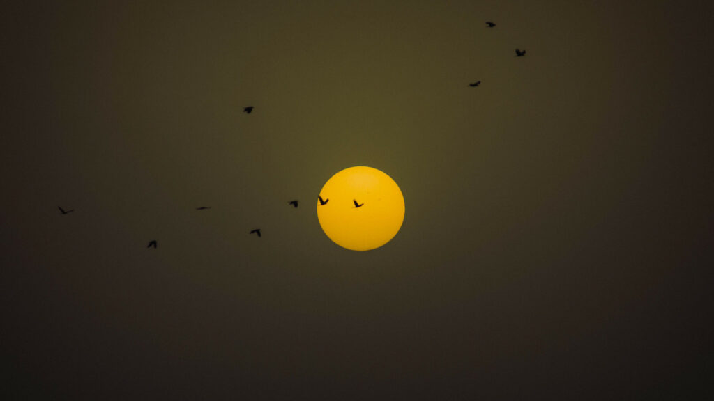 Le Soleil. // Source : Pexels/Shashank Kumawat (photo recadrée)