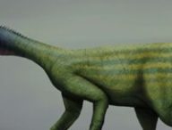Thecodontosaurus. // Source : Mario Lanzas