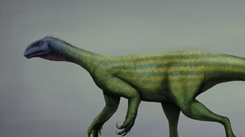 Thecodontosaurus. // Source : Mario Lanzas