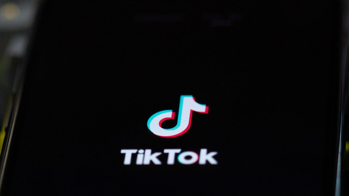 TikTok c'est bien, vous devriez essayer. // Source : Solen Feyissa