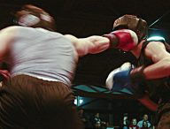 boxe combat bagarre // Source : Kate Gardiner