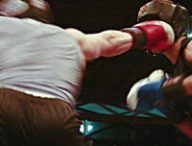boxe combat bagarre // Source : Kate Gardiner