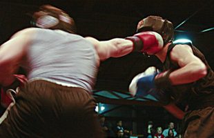 boxe combat bagarre // Source : Kate Gardiner