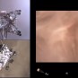 Vidéo de l'atterrissage de Perseverance. // Source : Capture d'écran Nasa