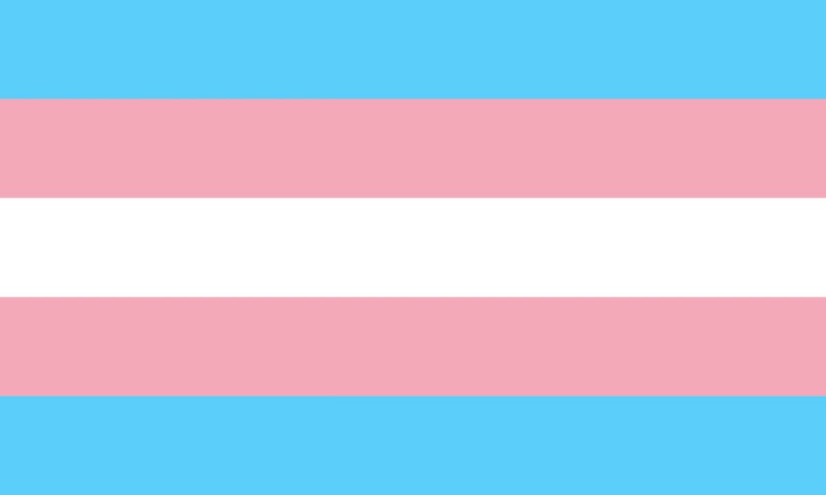 Le drapeau trans // Source : Wikipedia