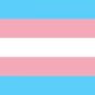 Le drapeau trans // Source : Wikipedia