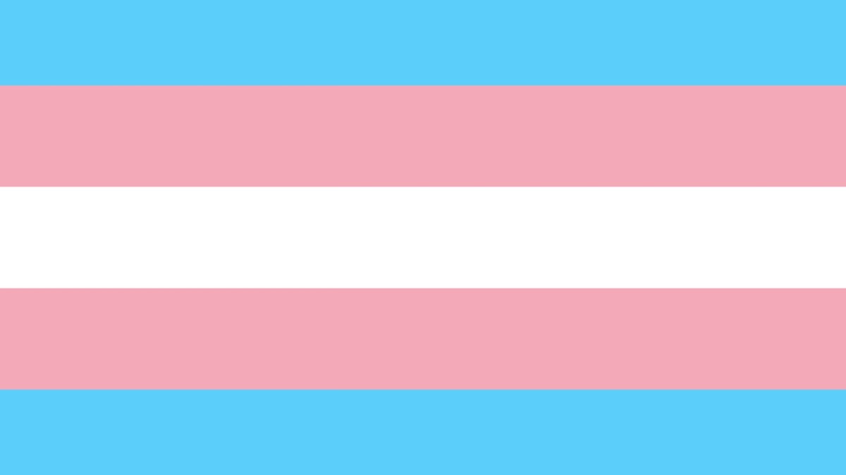 Le drapeau trans // Source : Wikipedia