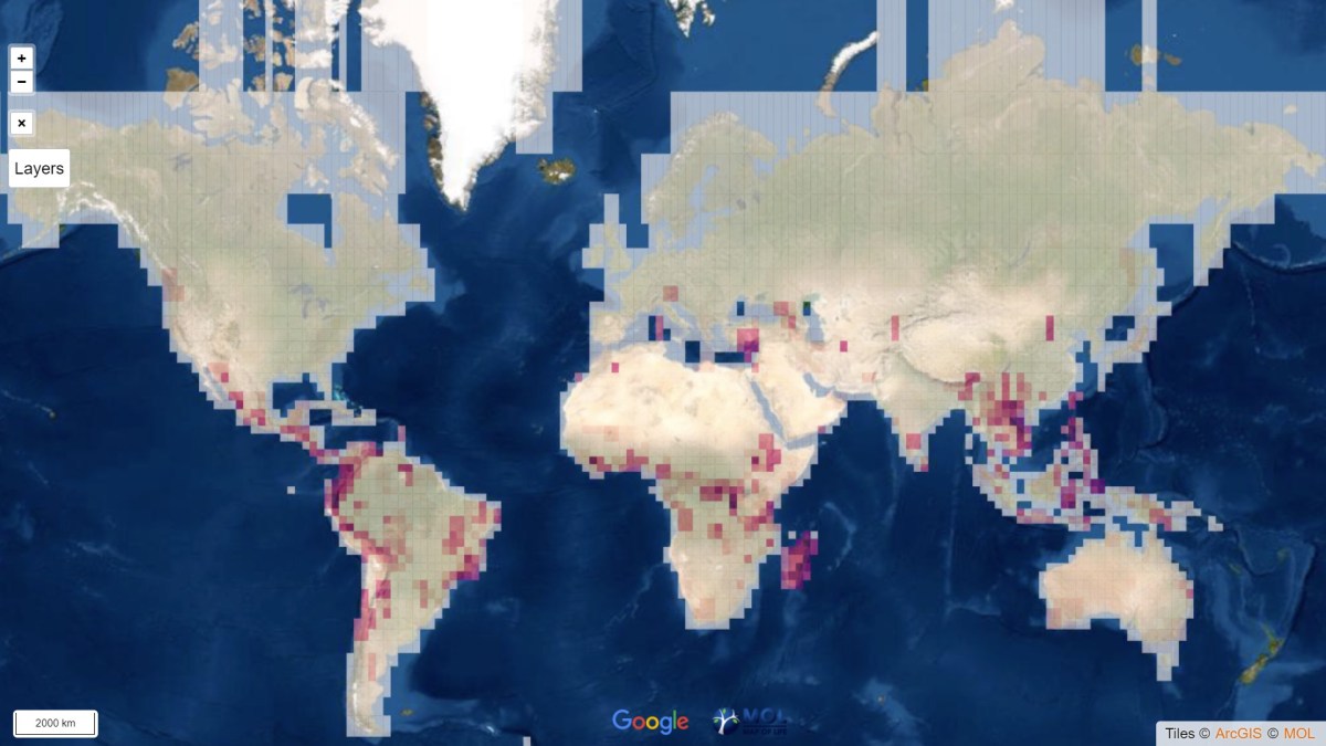 Source : Nature Ecology & Evolution, 2021, Moura/Jetz