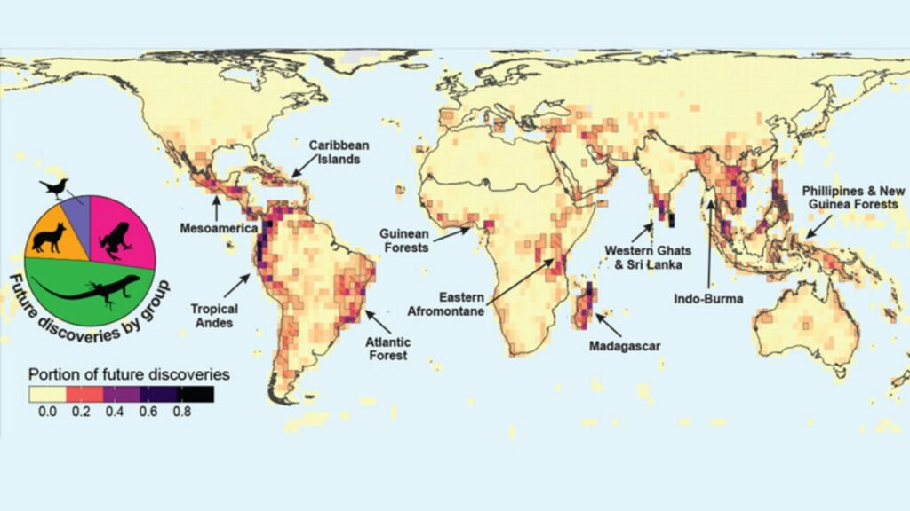 Carte des régions où il y a le plus d'espèces inconnues à découvrir. // Source : Nature Ecology & Evolution, 2021, Moura/Jetz