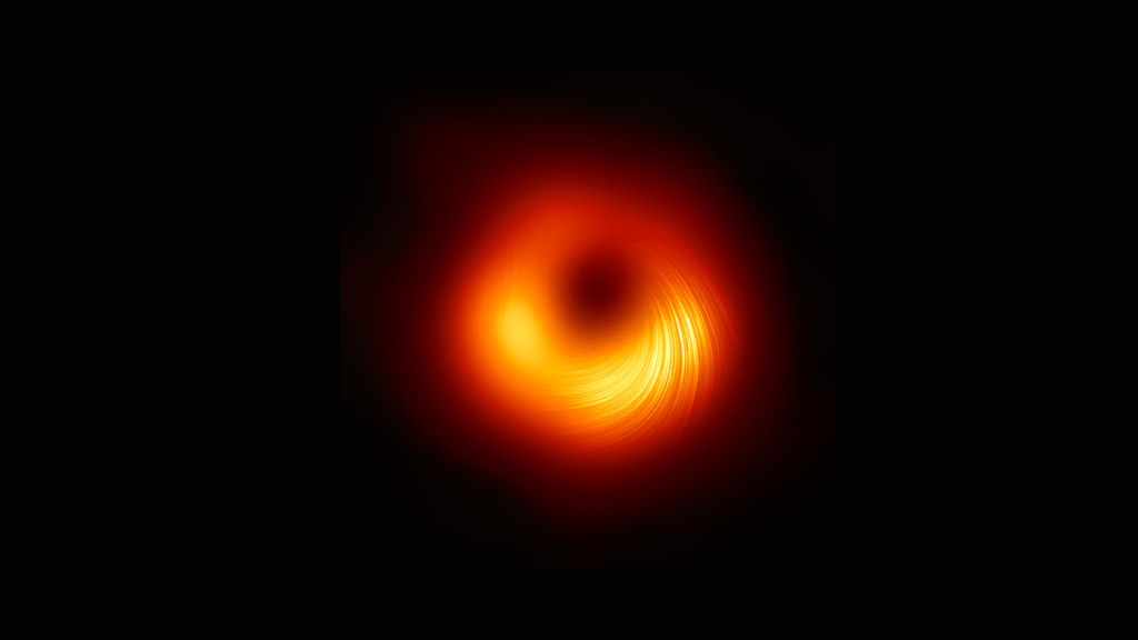 Image du trou noir M87* en lumière polarisée. // Source : The EHT collaboration (image recadrée)