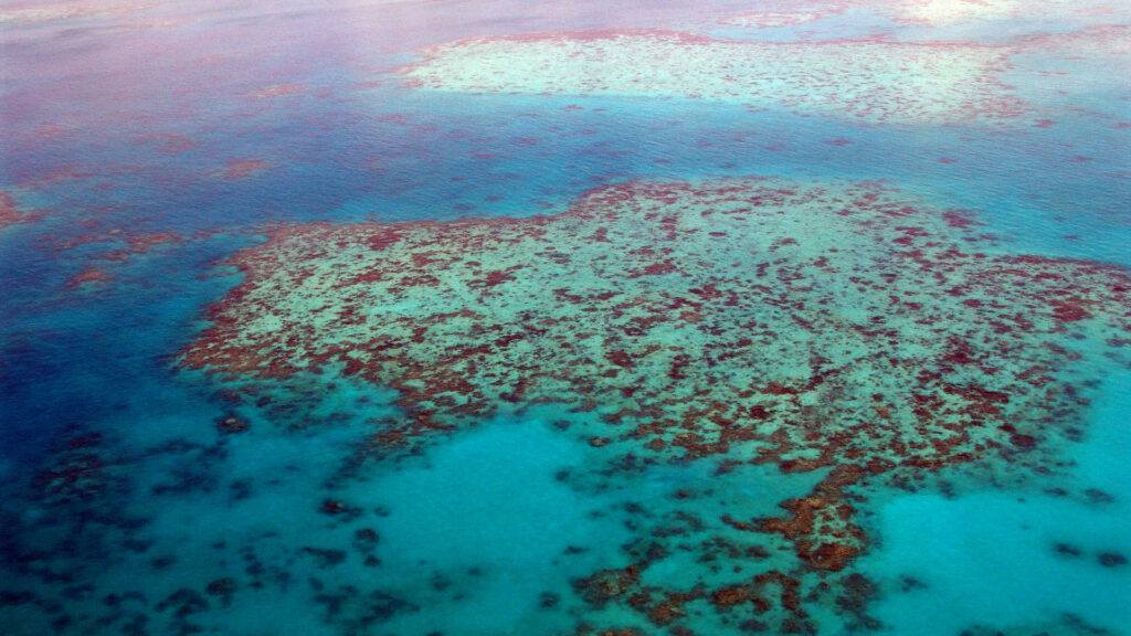 La Grande barrière de corail est particulièrement menacée par le réchauffement climatique. // Source : Gaby Stein / Pixabay