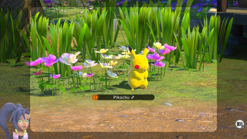 New Pokémon Snap // Source: Capture Switch