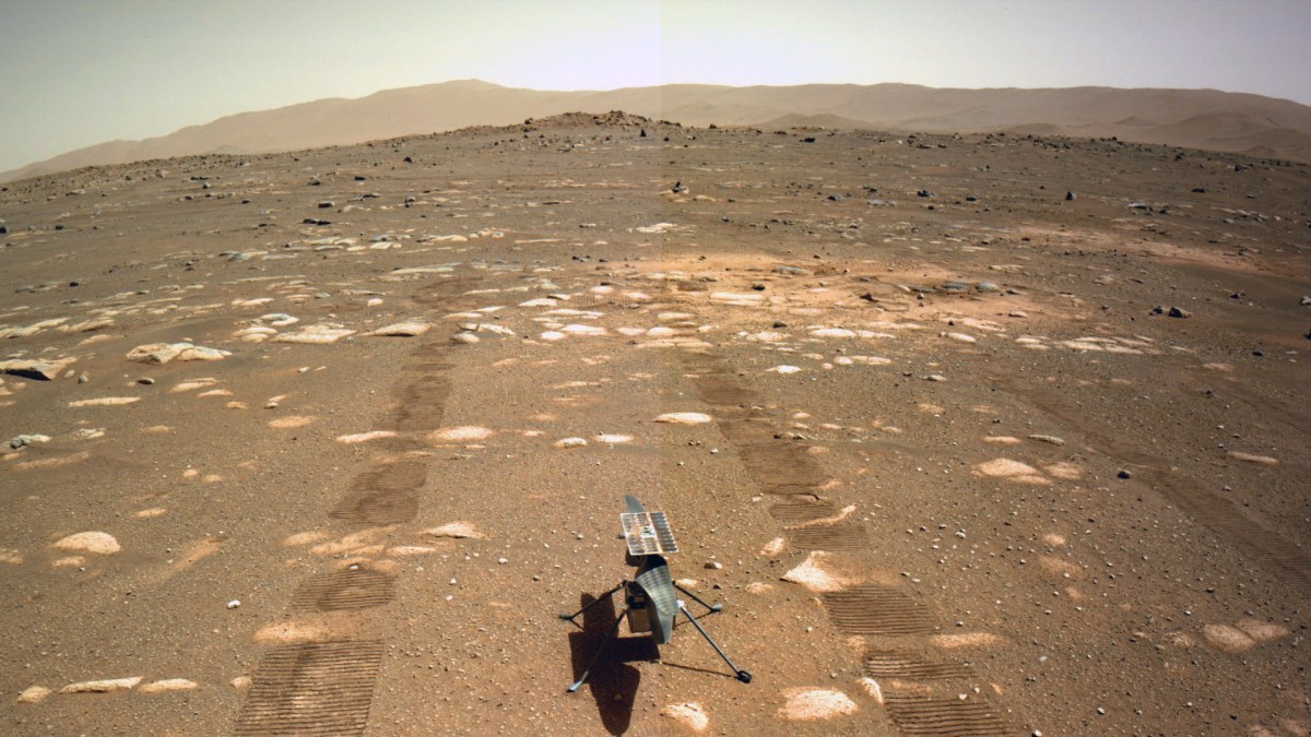 Ingenuity sur Mars (image retravaillée). // Source : Flickr/CC/Stuart Rankin (photo recadrée)