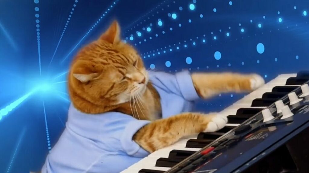 Keyboard Cat  // Source : Numerama