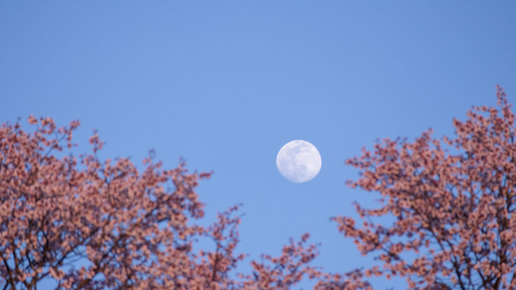 Nul besoin de l'afflubler de surnoms ridicules, la Lune est déjà très belle ainsi. // Source : Flickr/CC/hatake_s (photo recadrée)