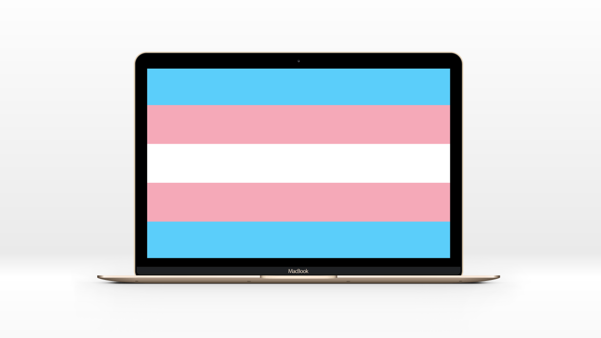 Montage du drapeau trans dans un Macbook // Source : Numerama