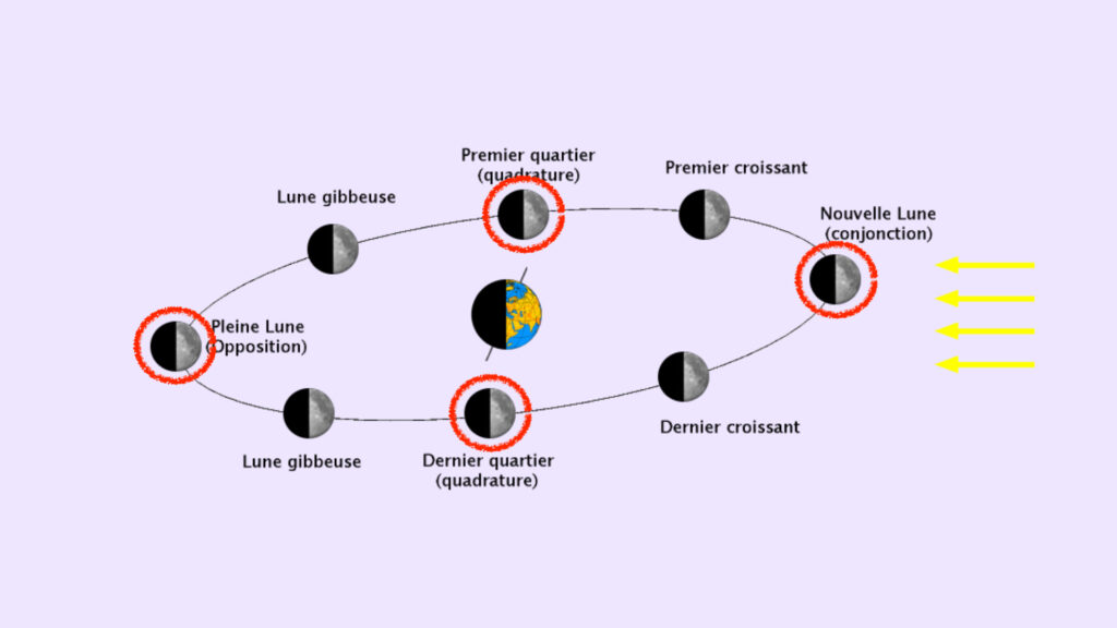 Schéma pour comprendre la position de la Terre et de la Lune, par rapport au Soleil. // Source : Wikimedia/CC/Looxix, annotation et fond Numerama
