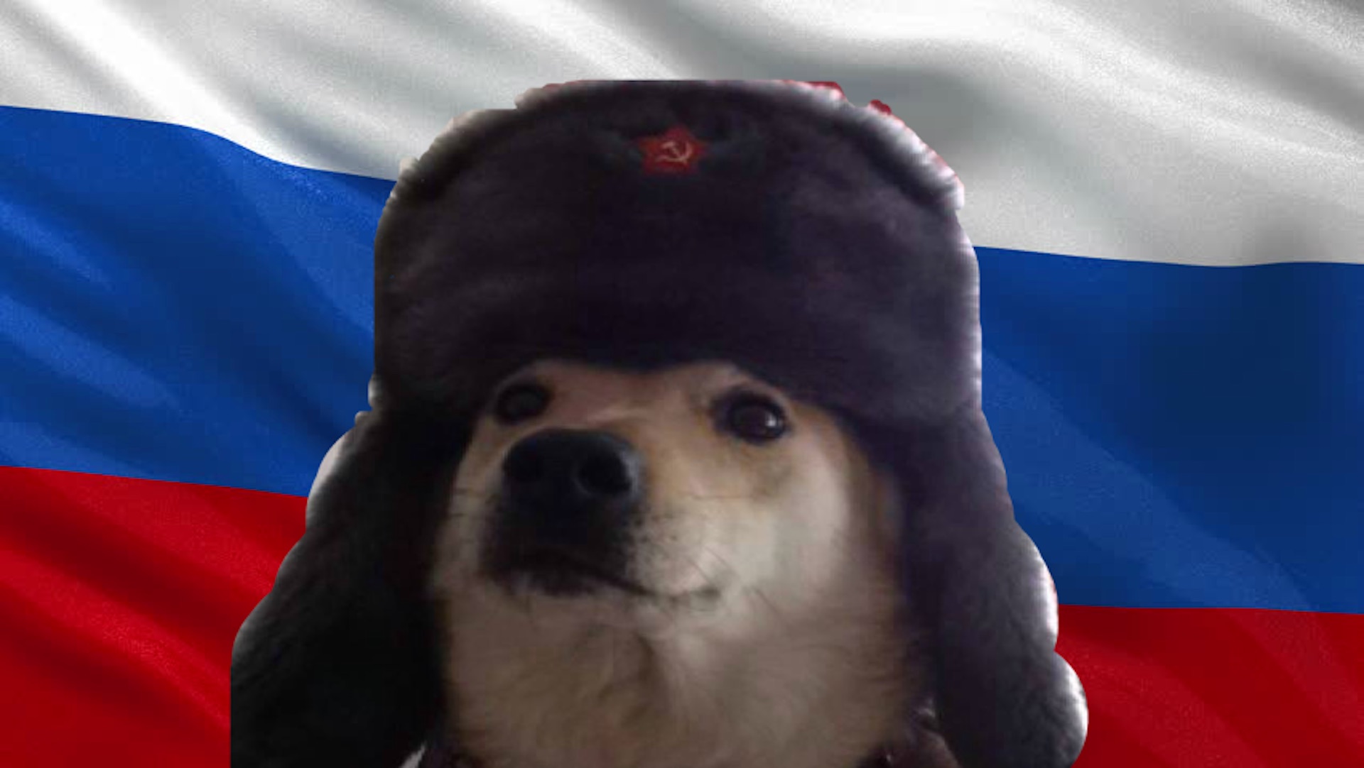 Le doge russe.  // Source : Pinterest