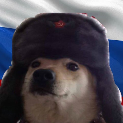 Le doge russe.  // Source : Pinterest