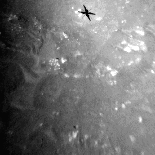 L'ombre d'Ingenuity sur Mars pendant son 3è vol.  // Source : NASA/JPL-Caltech