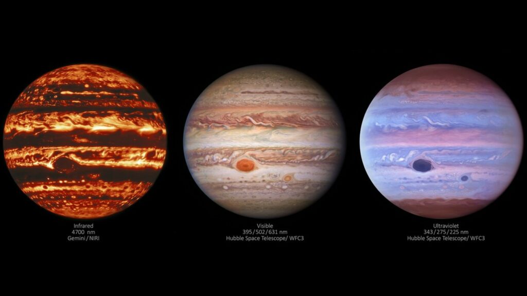 La planète Jupiter sous trois longueurs d'onde différentes. // Source : International Gemini Observatory/NOIRLab/NSF/AURA/NASA/ESA