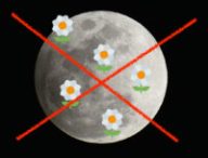 Encore une « super Lune des fleurs » qui n'existe pas. // Source : Flickr/CC/mbarrison, Wikimedia/CC/Twitter, montage Numerama