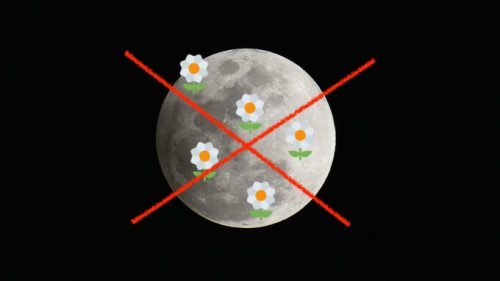 Pourquoi parle-t-on de la « super lune » ? 