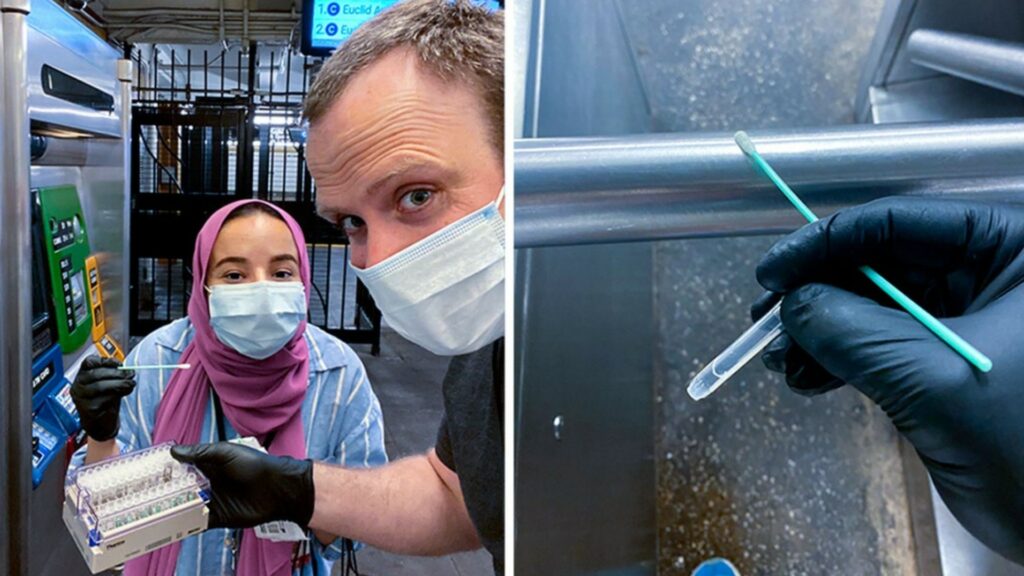 À gauche, l'étudiante Heba Shabaan en compagnie du Dr. Christopher Mason, en train de prélever un échantillon dans le métro new-yorkais. À droite, le prélèvement lui-même. // Source : Université Cornell