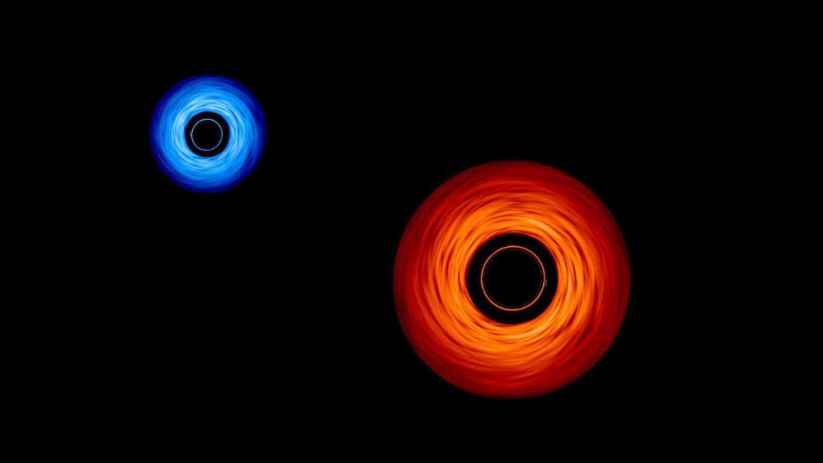 Représentation de deux trous noirs. // Source : NASA’s Goddard Space Flight Center/Jeremy Schnittman and Brian P. Powell (modifications Numerama)