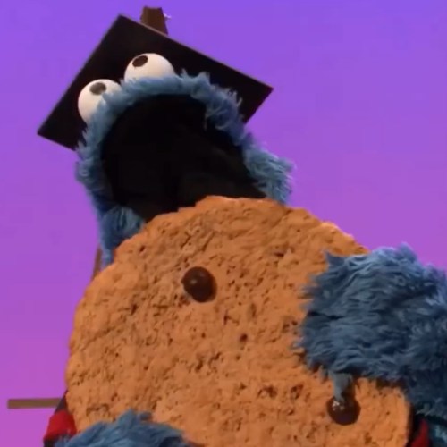 Cookie Monster // Source : Sesame Street