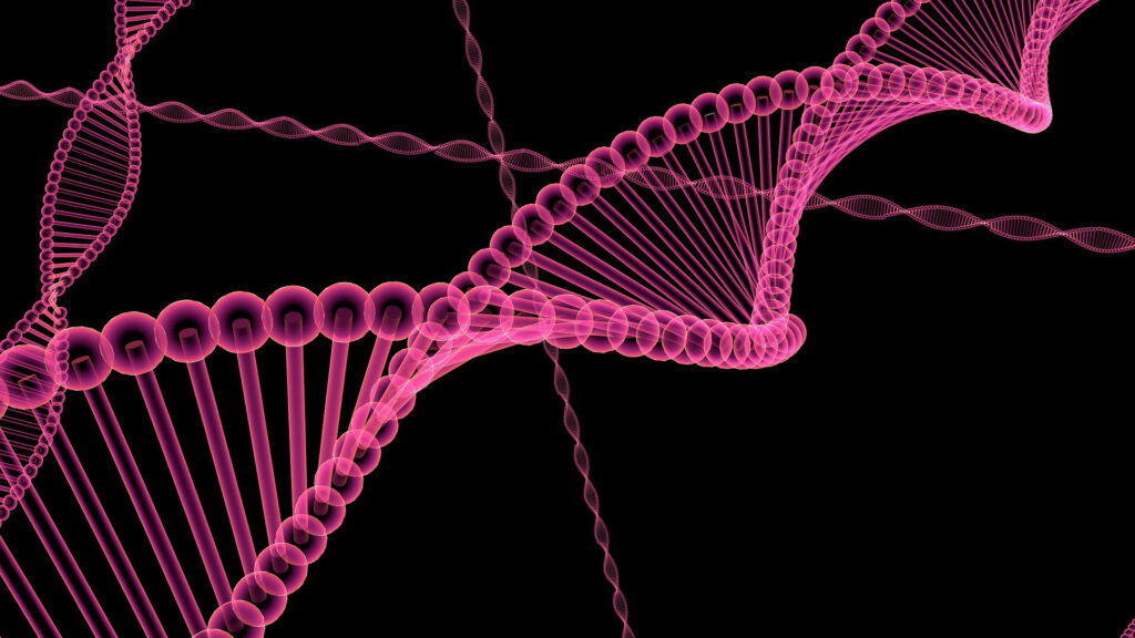 Une tasse à café d'ADN permettrait de stocker l'intégralité des données de la planète. // Source : Peggy und Marco Lachmann-Anke / Pixabay 