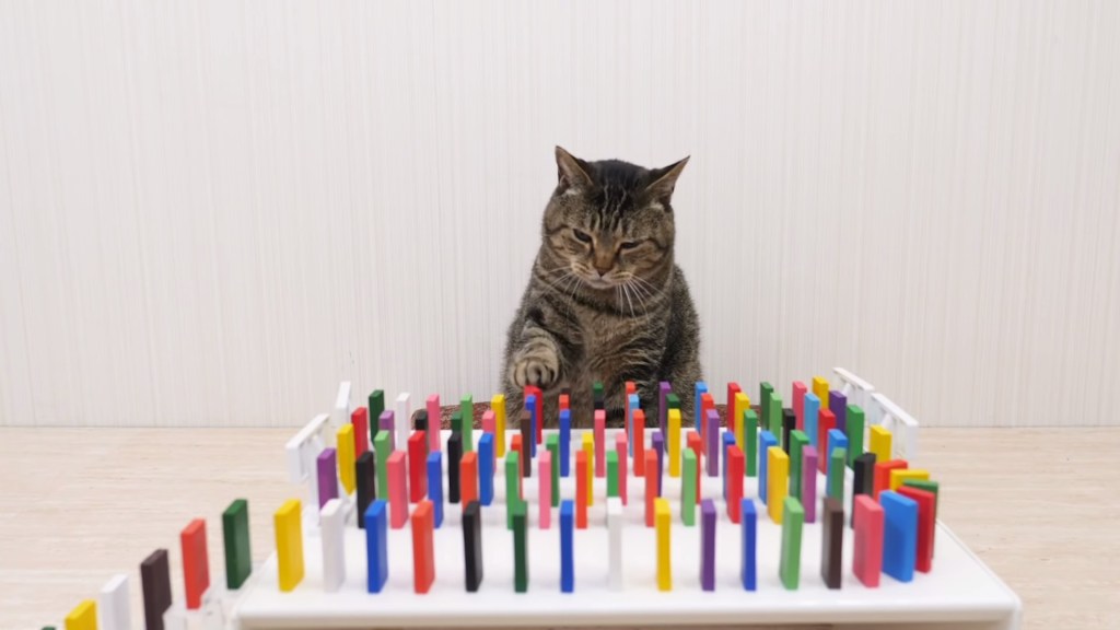 Un chat pousse des dominos. // Source : Cat Navi Desk