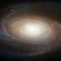 M81 vue par Hubble. // Source : NASA, ESA, and the Hubble Heritage Team (STScI/AURA) (photo recadrée)