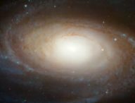M81 vue par Hubble. // Source : NASA, ESA, and the Hubble Heritage Team (STScI/AURA) (photo recadrée)