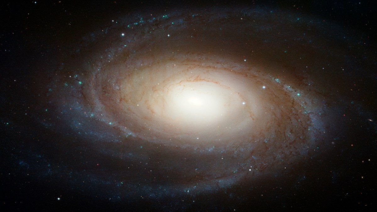 M81 vue par Hubble. // Source : NASA, ESA, and the Hubble Heritage Team (STScI/AURA) (photo recadrée)