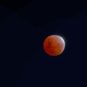 La Lune éclipsée le 19 novembre 2021. // Source : Flickr/CC/Dirk Pons (photo recadrée)